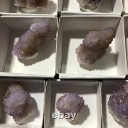 QUARTZ SPIRITE Cristal Cactus 34 Pièces Couleurs Mixtes CCflat81