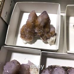 QUARTZ SPIRITE Cristal Cactus 34 Pièces Couleurs Mixtes CCflat81