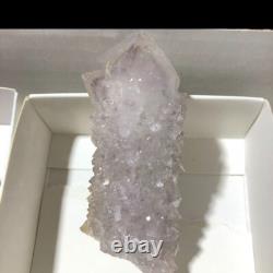 QUARTZ SPIRITE Cristal Cactus 34 Pièces Couleurs Mixtes CCflat81
