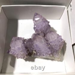 QUARTZ SPIRITE Cristal Cactus 34 Pièces Couleurs Mixtes CCflat81