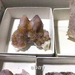 QUARTZ SPIRITE Cristal Cactus 34 Pièces Couleurs Mixtes CCflat81