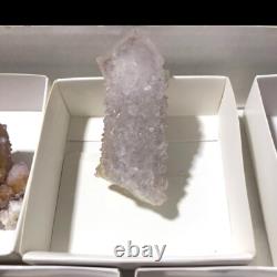 QUARTZ SPIRITE Cristal Cactus 34 Pièces Couleurs Mixtes CCflat81