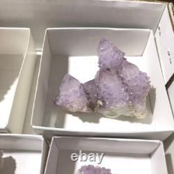 QUARTZ SPIRITE Cristal Cactus 34 Pièces Couleurs Mixtes CCflat81