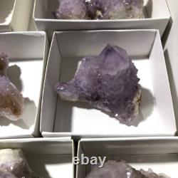 QUARTZ SPIRITE Cristal Cactus 34 Pièces Couleurs Mixtes CCflat81