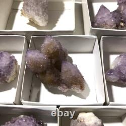 QUARTZ SPIRITE Cristal Cactus 34 Pièces Couleurs Mixtes CCflat81