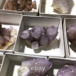 QUARTZ SPIRITE Cristal Cactus 34 Pièces Couleurs Mixtes CCflat81