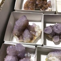 QUARTZ SPIRITE Cristal Cactus 34 Pièces Couleurs Mixtes CCflat81