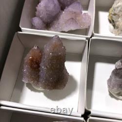 QUARTZ SPIRITE Cristal Cactus 34 Pièces Couleurs Mixtes CCflat81