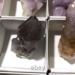 QUARTZ SPIRITE Cristal Cactus 34 Pièces Couleurs Mixtes CCflat81