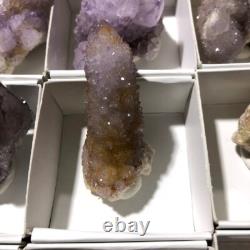 QUARTZ SPIRITE Cristal Cactus 34 Pièces Couleurs Mixtes CCflat81