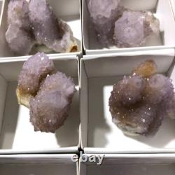 QUARTZ SPIRITE Cristal Cactus 34 Pièces Couleurs Mixtes CCflat81