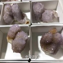 QUARTZ SPIRITE Cristal Cactus 34 Pièces Couleurs Mixtes CCflat81