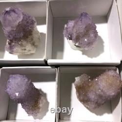 QUARTZ SPIRITE Cristal Cactus 34 Pièces Couleurs Mixtes CCflat81