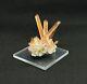 Quartz De La Colline Jinlong Avec Hématite Pièce Unique ! 30g