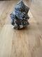 Quartz Flamme De Jaspe Océan Naturel 1,8 Lb