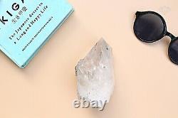 Rare Natural Claire Blanc Quartz Crystal Cluster Mineral Stone Specimen 396gm
