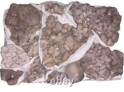 Rare Quartz Rose 12 Pièces 2 Lb Minerals Specimen Flat From Morocco