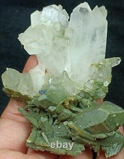 Rare cristal d'anatase sur un amas de quartz inclus de chlorite # Pièce de collection #115g