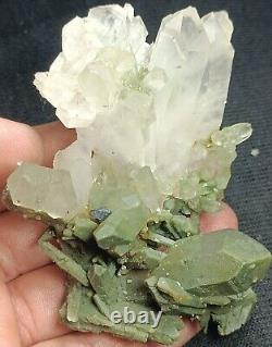 Rare cristal d'anatase sur un amas de quartz inclus de chlorite # Pièce de collection #115g