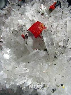Realgar Crimson Red, Pyrites Et Fine Quartzs Cluster Du Pérou. Pièce Maîtresse