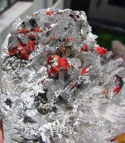 Realgar Crimson Red, Pyrites Et Fine Quartzs Cluster Du Pérou. Pièce Maîtresse