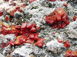 Realgar Rouge Carmin, Brillant Pyrite, Selenite & Quartz Fromperu. Piece Musée
