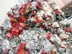 Realgar Rouge Carmin, Brillant Pyrite, Selenite & Quartz Fromperu. Piece Musée