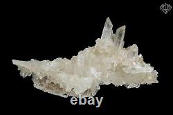 Samadhi Quartz Cristal Famille Cluster 198 Grams Natural Synergy Mineral Specimen