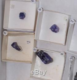 Sapphireblue Flat Crystal Tanzanite Cristaux 12 Pièces @ 17 $ Tanzanie À Vendre