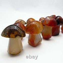 Sardonyx Bandé Agate Mushroom Sculpté Minéraux Cristal Quartz Random 50 Pièce