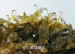 Selenite Twin Golden Crystals Éparpillés Sur Matrix Du Pérou. Pieces De Maître