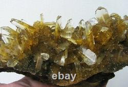 Selenite Twin Golden Crystals Éparpillés Sur Matrix Du Pérou. Pieces De Maître