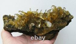 Selenite Twin Golden Crystals Éparpillés Sur Matrix Du Pérou. Pieces De Maître