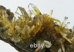 Selenite Twin Golden Crystals Éparpillés Sur Matrix Du Pérou. Pieces De Maître