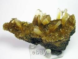Selenite Twin Golden Translucence Crystals Sur Matrix Du Pérou. Grandes Pièces
