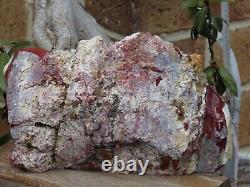 Smooth Faces Mookaite Mineral Display Piece Slab De L'australie De L'ouest