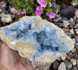 Spécimen de géode de cristal de célestite bleu naturel de 6 livres 10,7 onces pièce d'exposition
