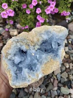 Spécimen de géode de cristal de célestite bleu naturel de 6 livres 10,7 onces pièce d'exposition