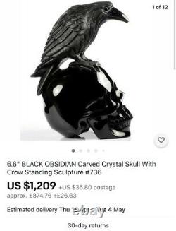 Stupéfiant Noir Obsidien Sculpté Crow & Crâne Corbeau Cristal 7 Pouces Pièce D'affichage