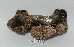 Superbe lot de pièces de cristaux de spécimens minéraux de stilbite brun foncé noir 1068