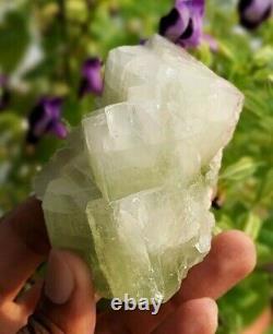 Superbe morceau de spécimen minéral de cristal d'apophyllite verte en pierre 1517