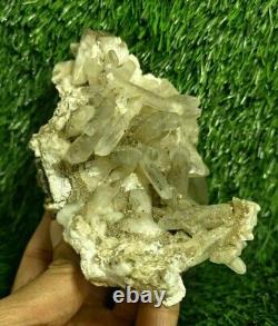 Superbe morceau supérieur de spécimen de pierre minérale de cristal fantôme de quartz himalayen 1573
