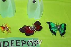 Swarovski Cristal 8 Pièces Paradise Butterfly Set Avec Affichage Magnétique