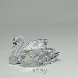 Swarovski Cristal Iconique 2018 Cygne Grand 5400172 Beautés Plumées MIB