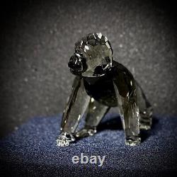 Swarovski Figurine En Cristal Gorilla Cub Scs Pièce #955440