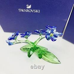 Swarovski Paradise Fleurs Oubliez-moi Pas Bleu 5374947 Menthe En Boîte Superbe Pièce