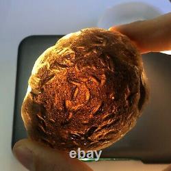 Tektite Colombianite Qualité Haute 1 Piece 182,2 Grammes / 6,42 Oz