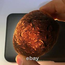 Tektite Colombianite Qualité Haute 1 Piece 182,2 Grammes / 6,42 Oz