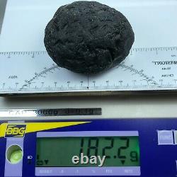 Tektite Colombianite Qualité Haute 1 Piece 182,2 Grammes / 6,42 Oz