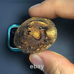 Tektite Colombianite Qualité Haute 1 Piece 31,6 Grammes / 1,11 Oz